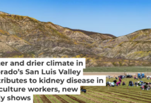 Agricultural workers exposed to a hotter and drier climate are at an increased risk of kidney damage. George Rose/via Getty Images